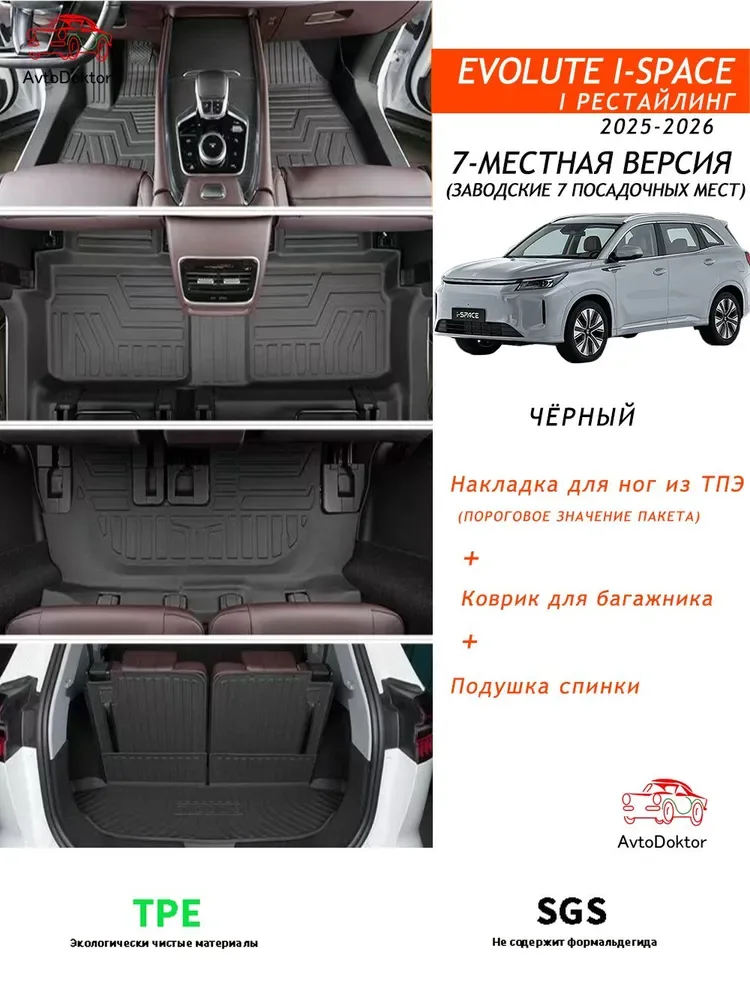 Коврики в салон автомобиля Evolute i-SPACE (TPU)